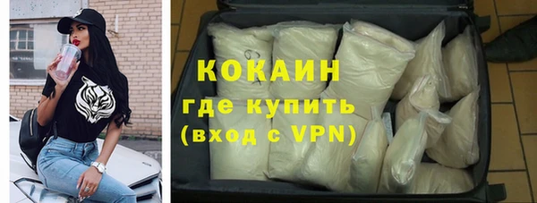 прущие грибы Медногорск