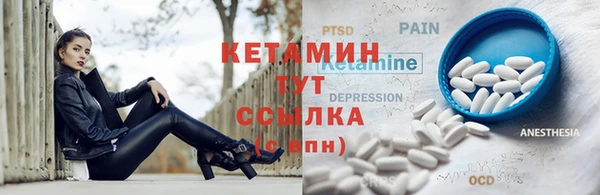 прущие грибы Медногорск