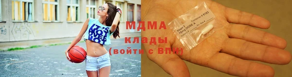 прущие грибы Медногорск
