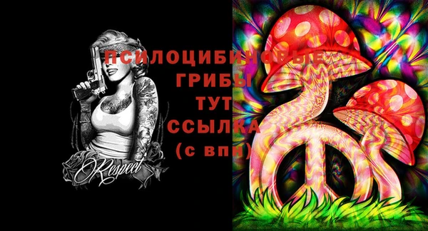прущие грибы Медногорск