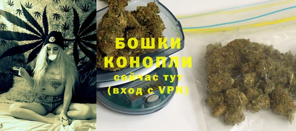 прущие крисы Медвежьегорск
