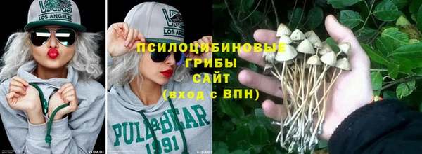 прущие грибы Медногорск