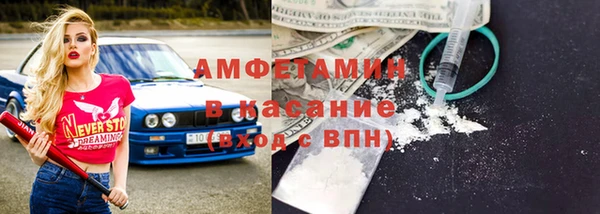 прущие грибы Медногорск