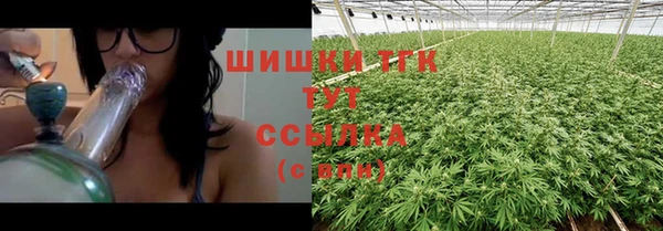 прущие грибы Медногорск
