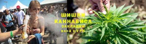 прущие грибы Медногорск