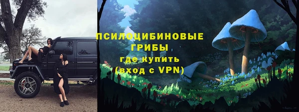 прущие крисы Медвежьегорск