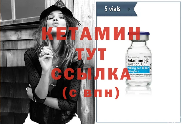 прущие грибы Медногорск