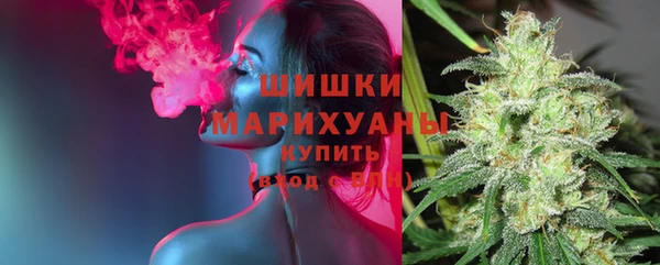 прущие грибы Медногорск