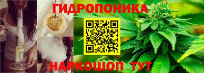 ПСИЛОЦИБИНОВЫЕ ГРИБЫ Абакан