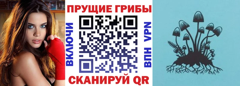 blacksprut онион  Нефтекамск  Псилоцибиновые грибы Cubensis 