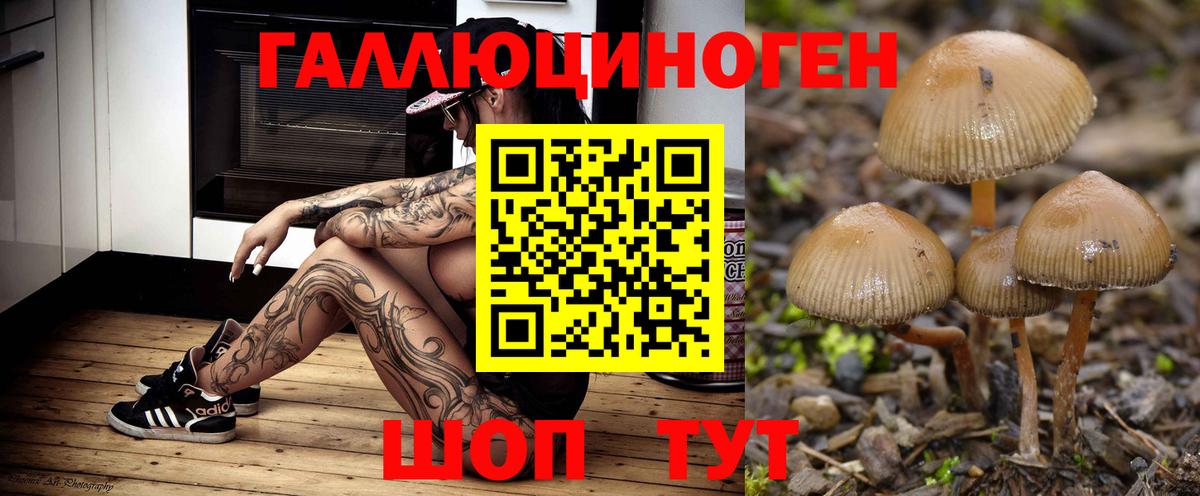 Нефтекамск  сколько стоит  Вход с VPN  Псилоцибиновые грибы прущие грибы 
