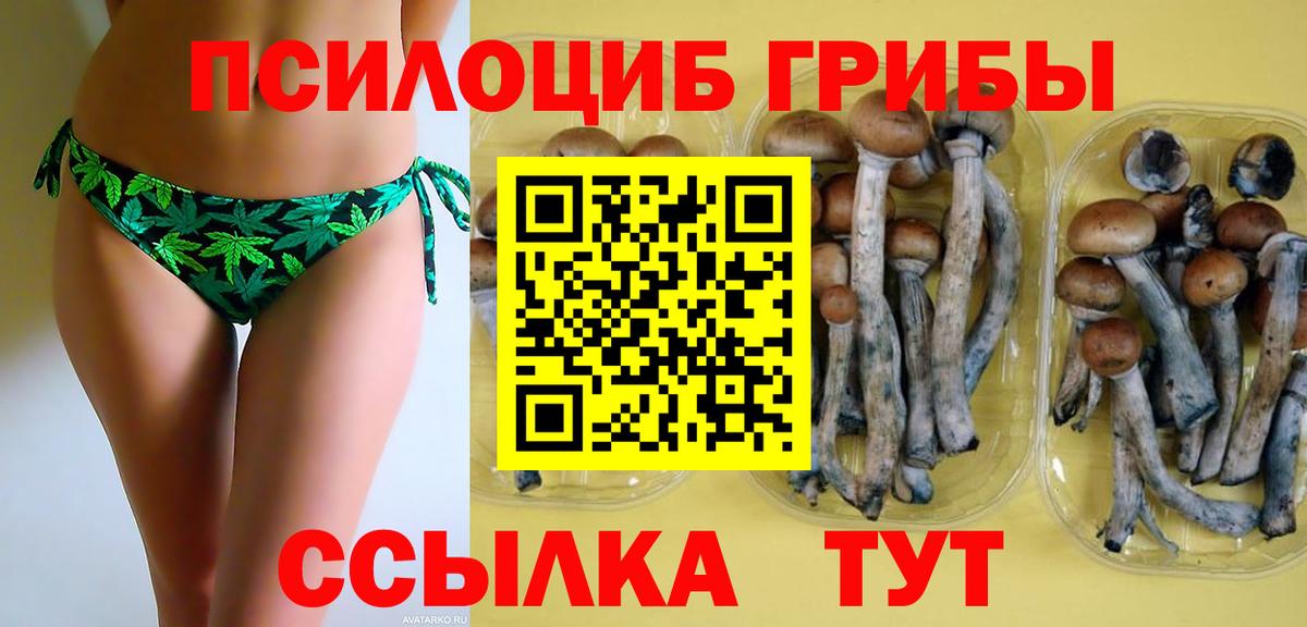 Нефтекамск  Псилоцибиновые грибы прущие грибы  Вход с VPN  Псилоцибиновые грибы Magic Shrooms 